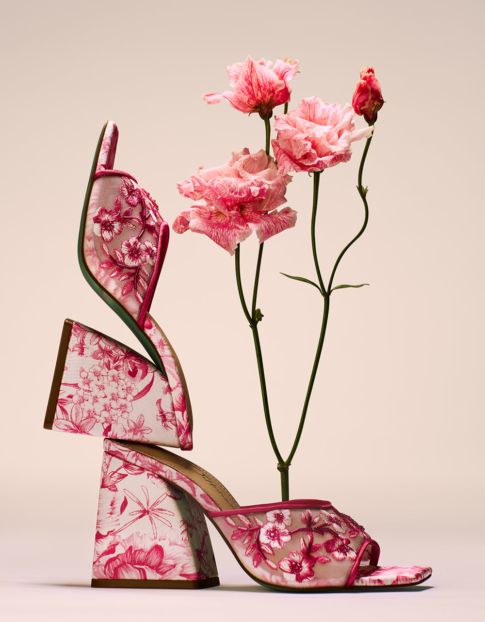 ROO FUCHSIA - Image 3